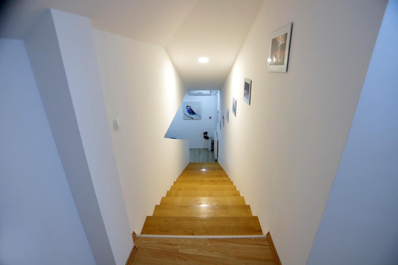Florek & Florica Apartment Križevci المظهر الخارجي الصورة